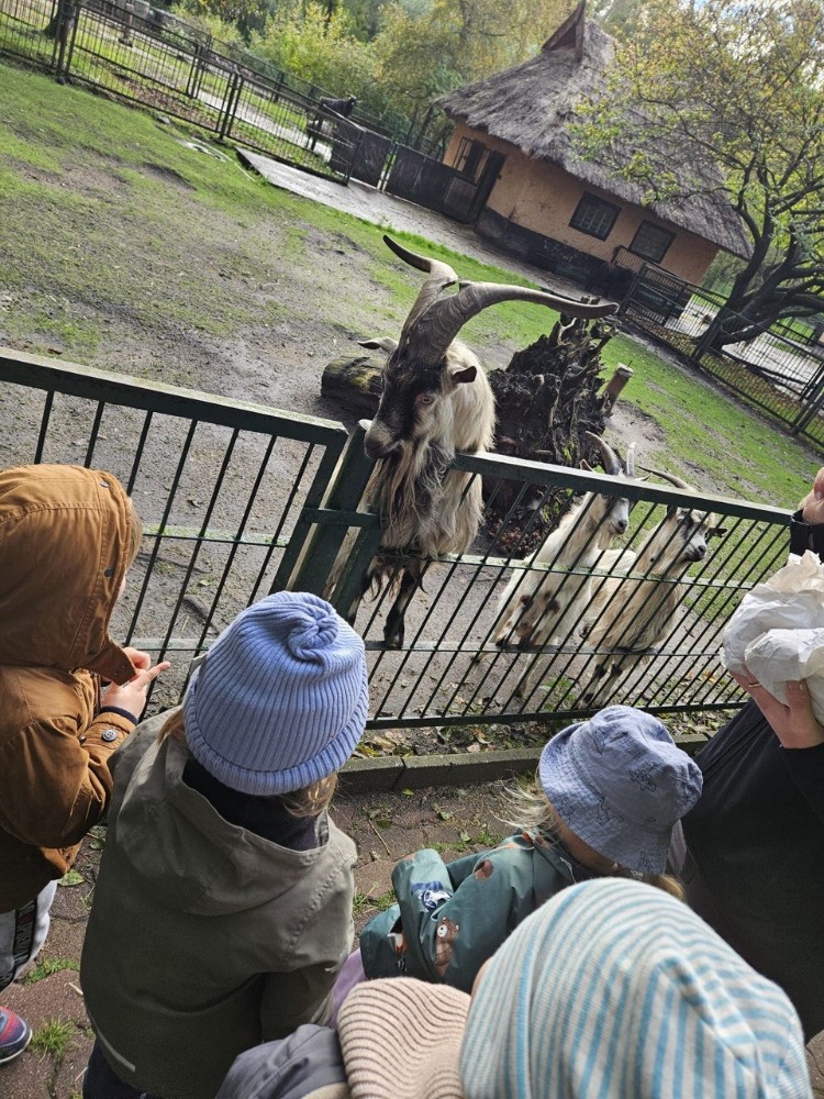 Kindern etwas zutrauen – ein Zoobesuch mit Kletterabenteuer