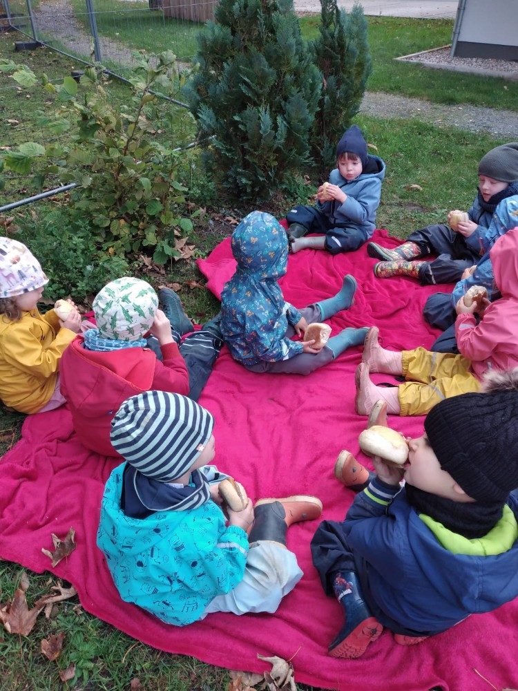 Das Froschprojekt: Wo sind unsere Freunde hin?