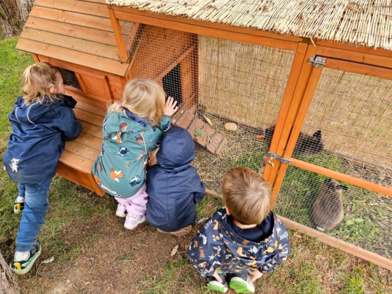 Tierische Auszeit – beobachten, staunen und zur Ruhe kommen