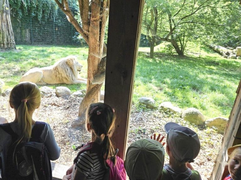 Ferienzeit: So schön waren unsere Sommerwochen in der Ja-Naturkita Wellenspiel