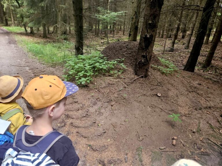 Mit dem Zug in den Wald – Natur mit allen Sinnen erleben