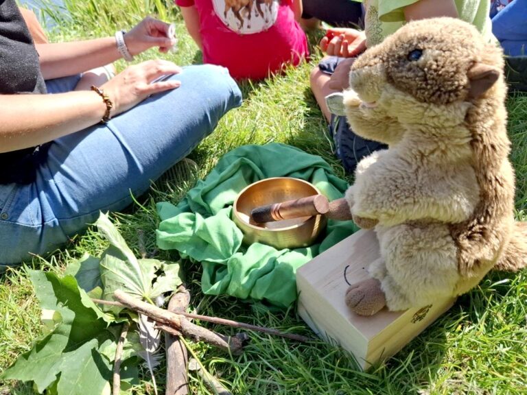 Waldbaden mit Murmeli – neue Entdeckungen im Stralsunder Stadtwald